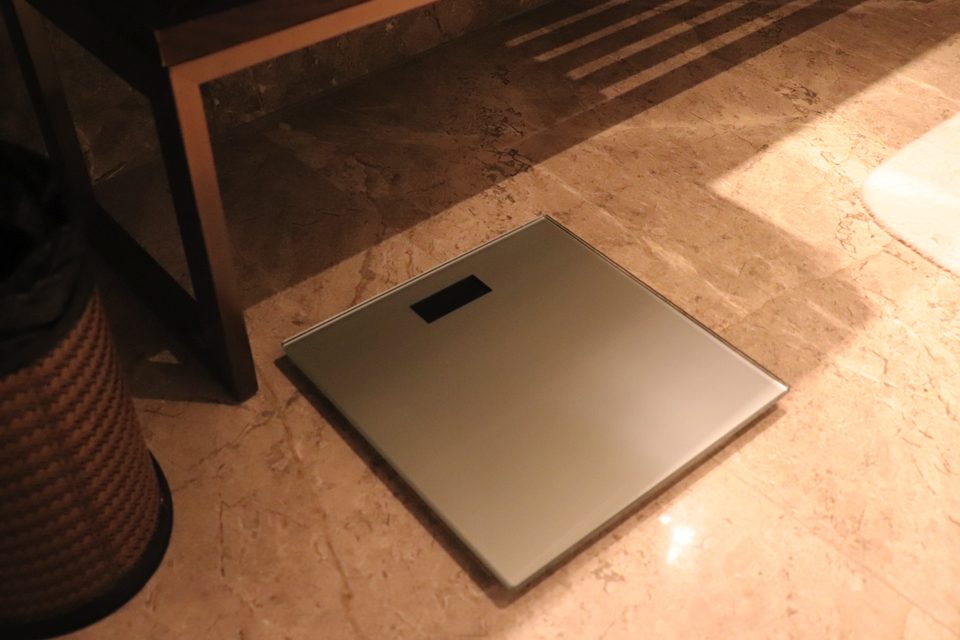 ヘルスメーター copy