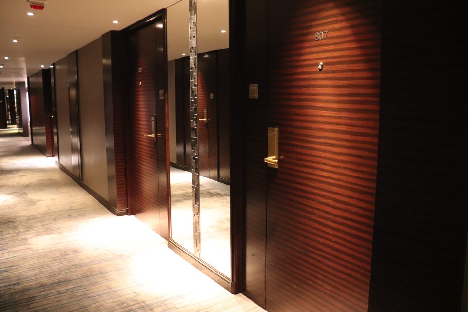 客室入口前廊下 copy