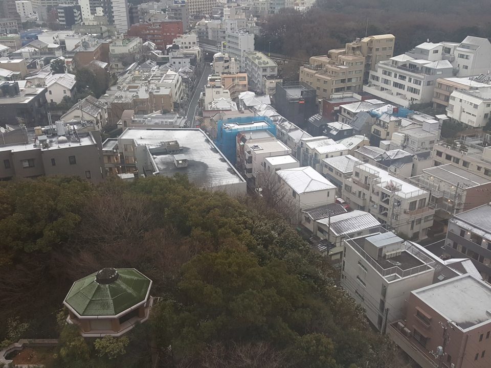 IMG_0701 (14) copy copy