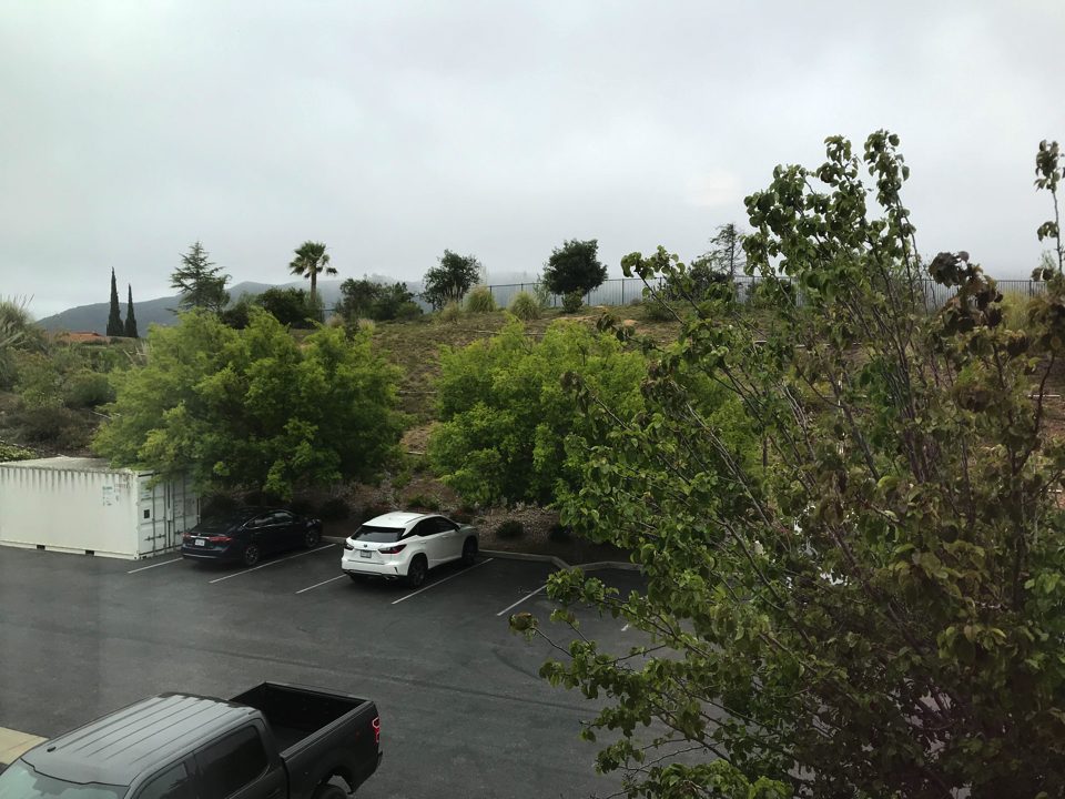 IMG_0806.jpg (16) copy