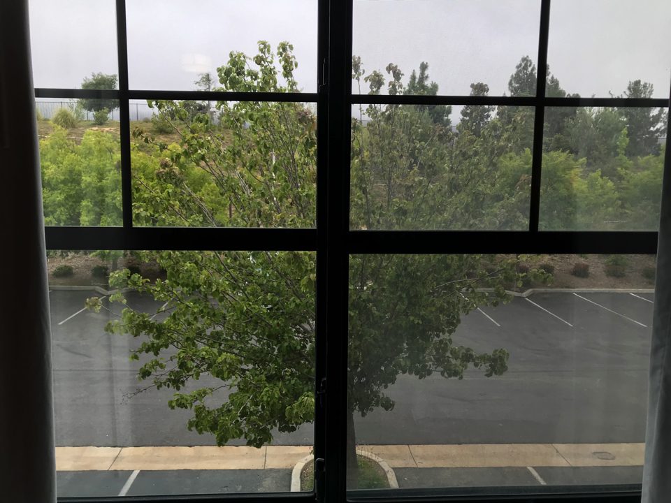 IMG_0806.jpg (19) copy