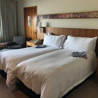 Detailed review & photos “Canary Riverside Plaza Hotel”