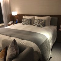 Detailed review & photos “Keio Plaza Hotel”