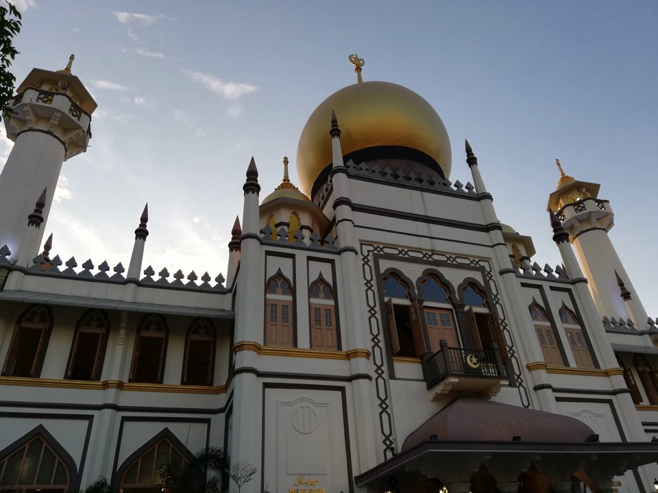 IMG_0905-60-copy