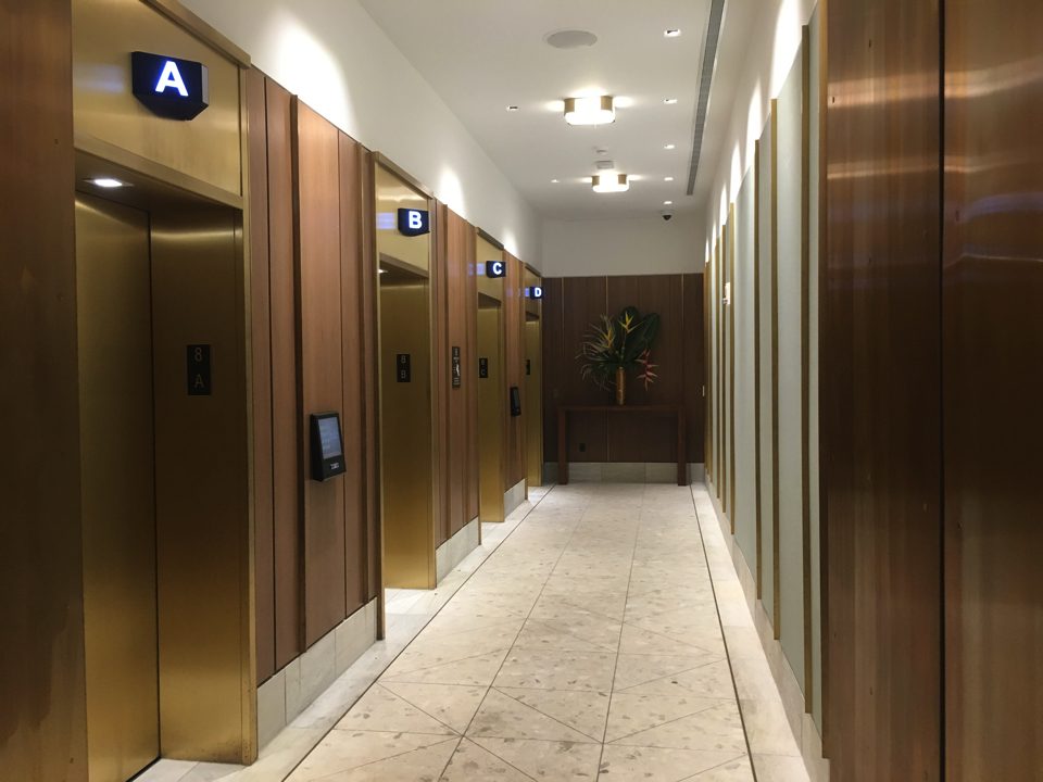 IMG_1005.jpg (5) copy