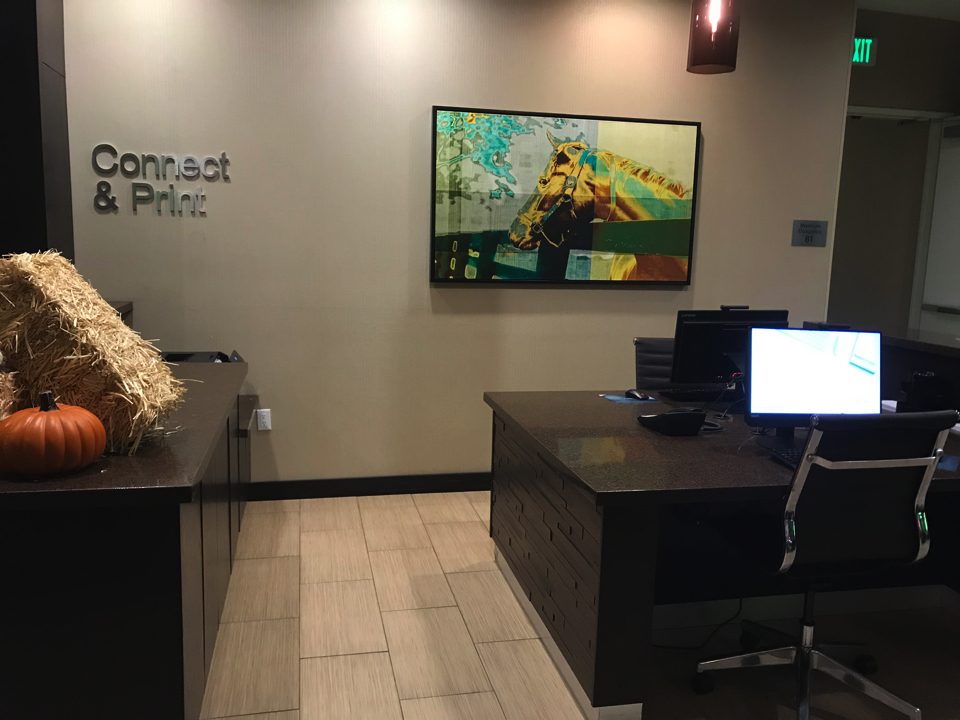 IMG_1114.jpg – 2019-11-14T174310.028