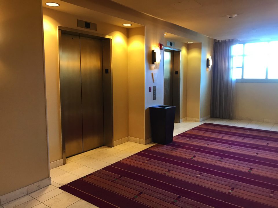 IMG_1114.jpg – 2019-11-14T175146.426