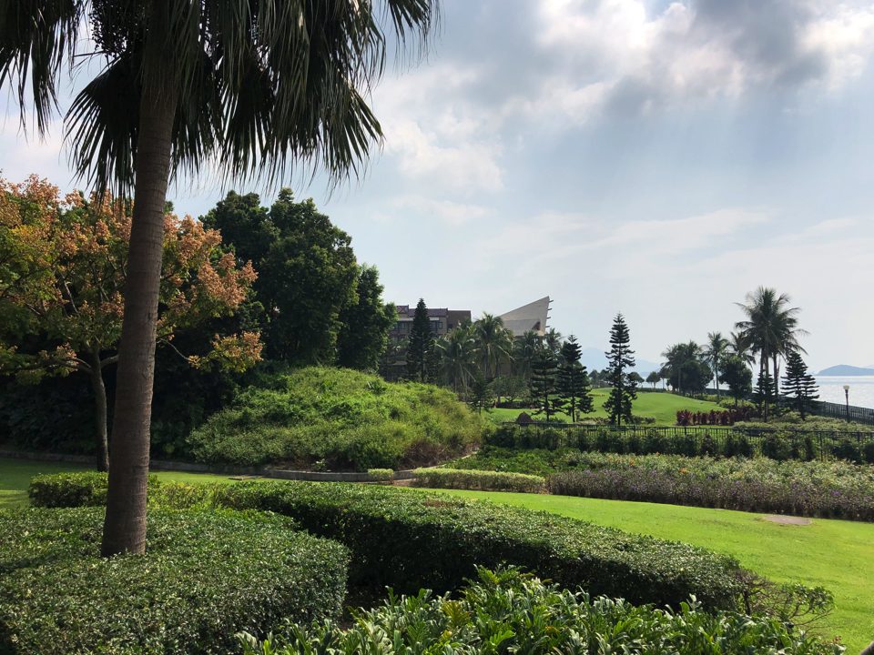 IMG_1118 – 2019-11-18T214312.088 copy