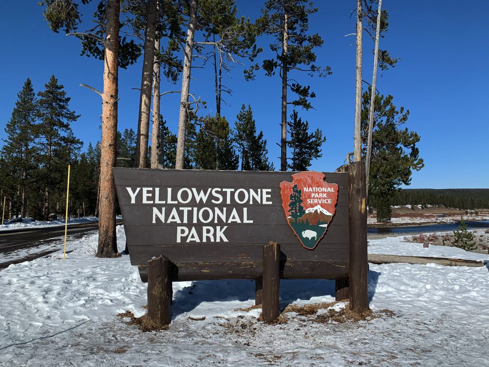 IMG_1207.jpg copy copy copy copy copy copy