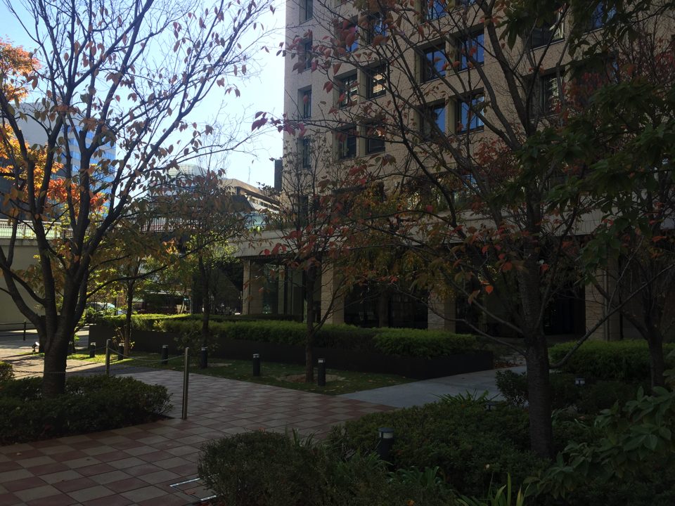 IMG_6501 copy
