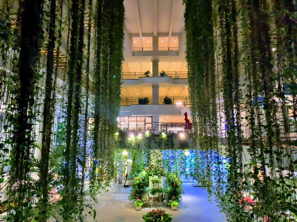 IMG_2002-EFFECTS copy