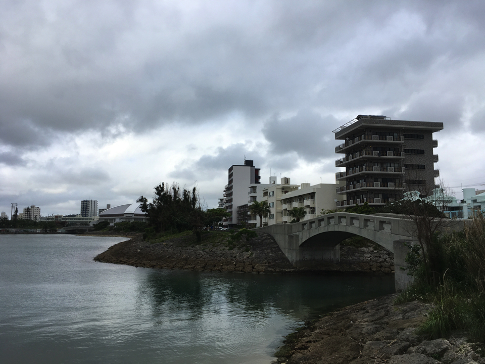 IMG_4446 copy