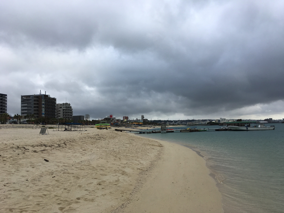 IMG_4449 copy