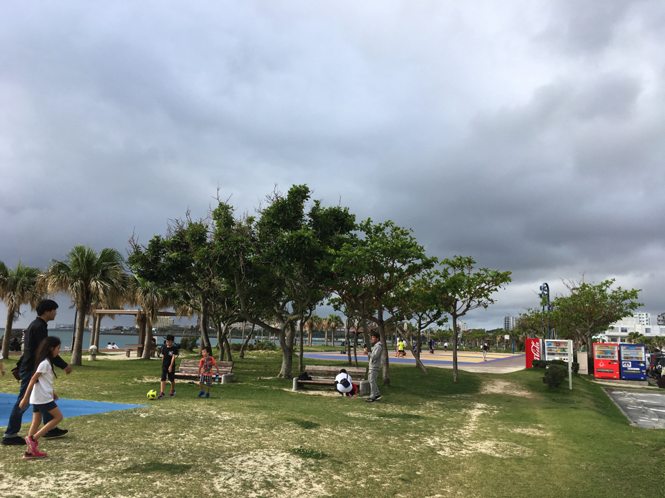 IMG_4452 copy