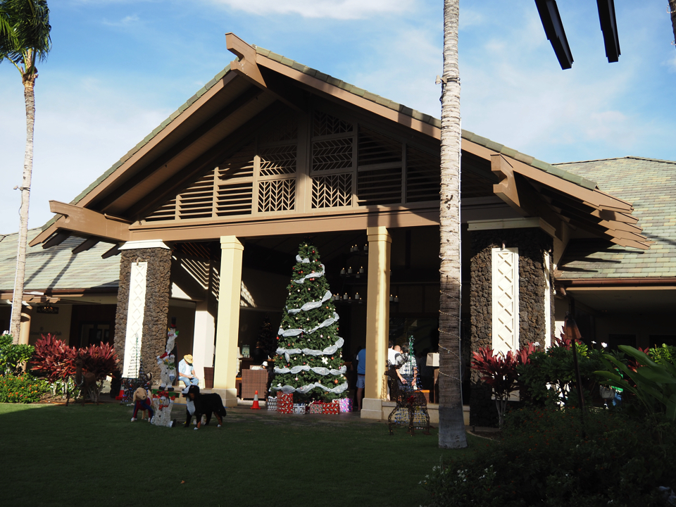 IMG_0311.jpg (4) copy