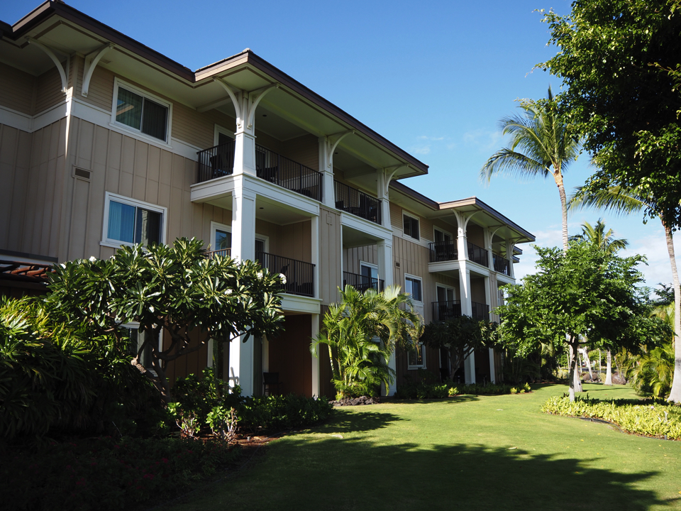 IMG_0311.jpg (5) copy