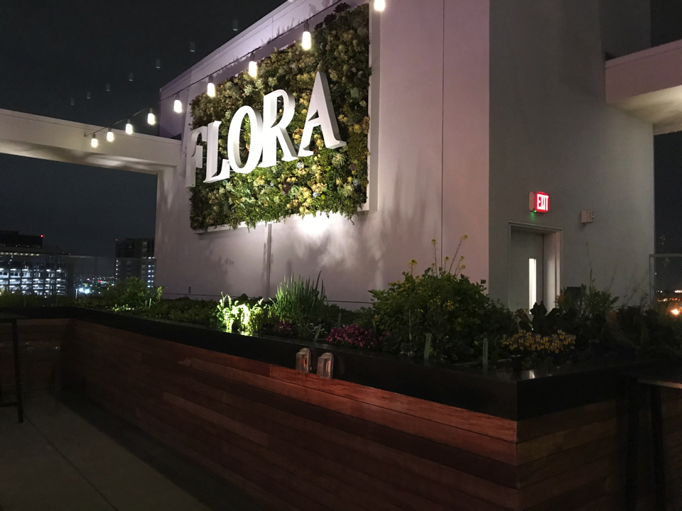 IMG_0430.JPG (10) copy