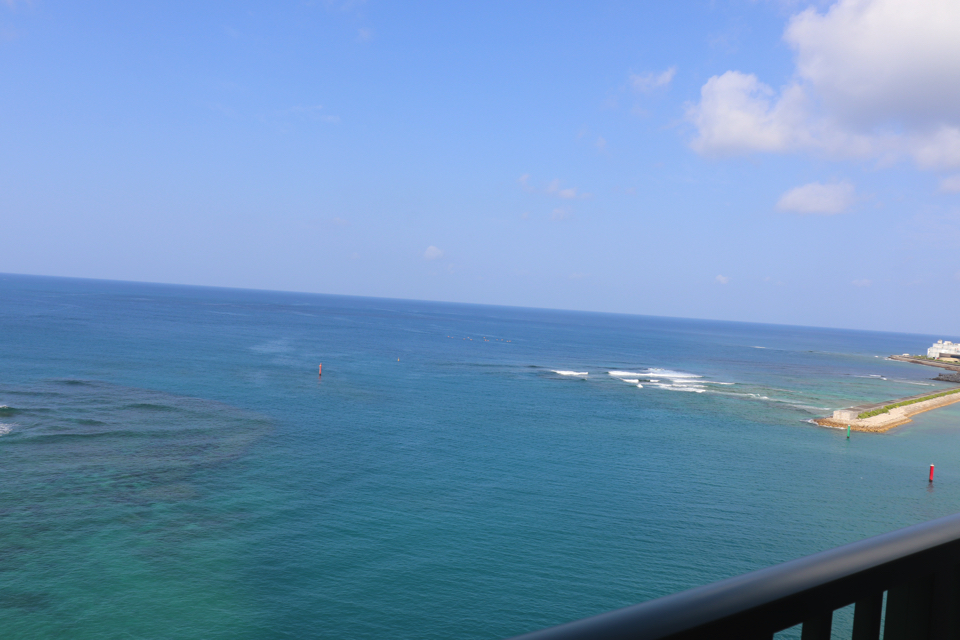 IMG_9229 copy