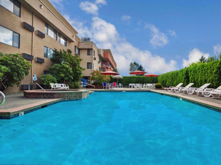 2178006_17051210280052936827 copy