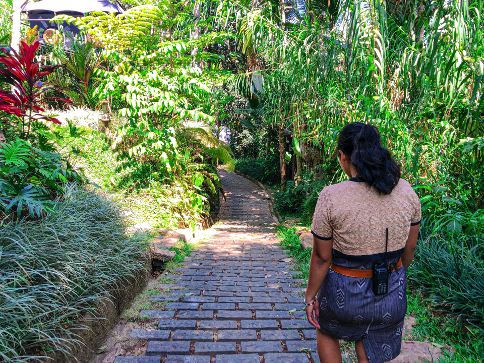 IMG_0617.jpg (1) copy