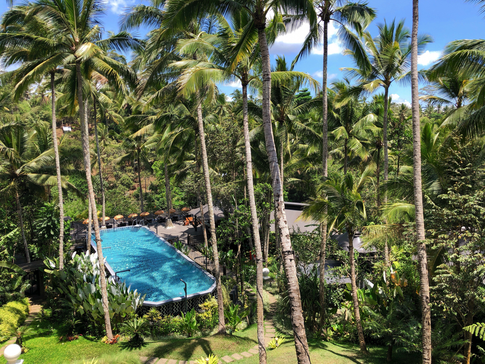 IMG_0617.jpg (15) copy