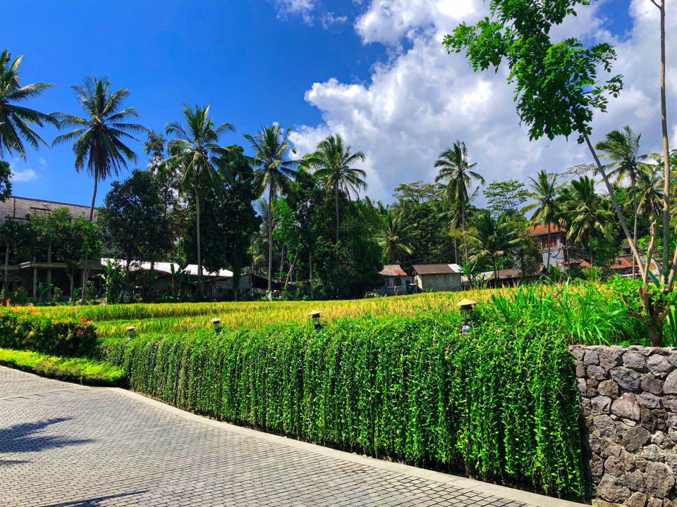 IMG_0617.jpg (5) copy