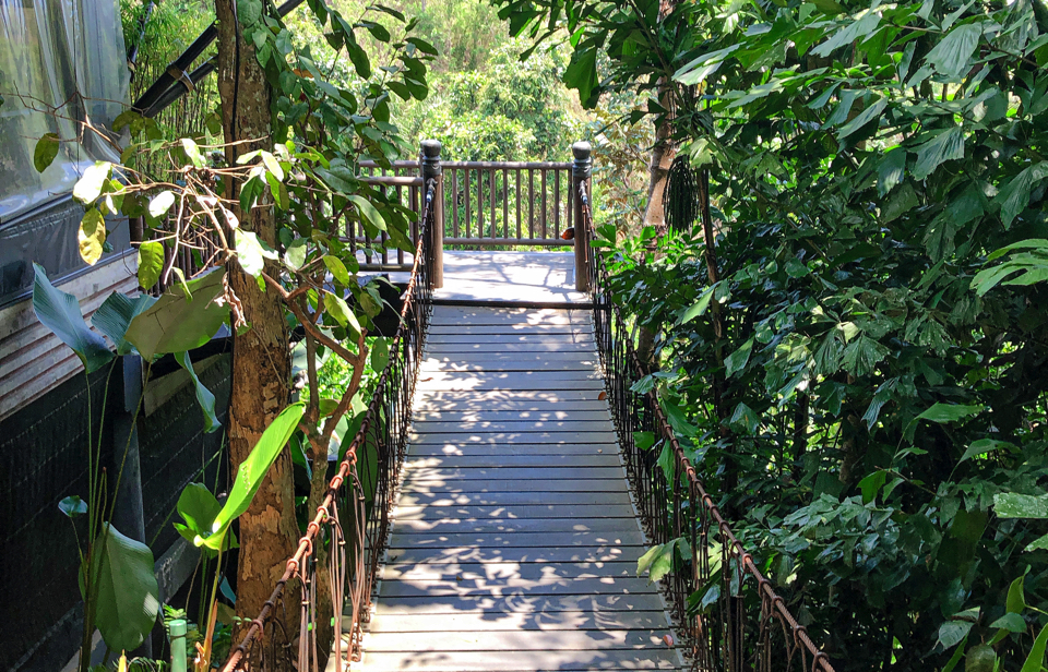 IMG_0617.jpg (6) copy