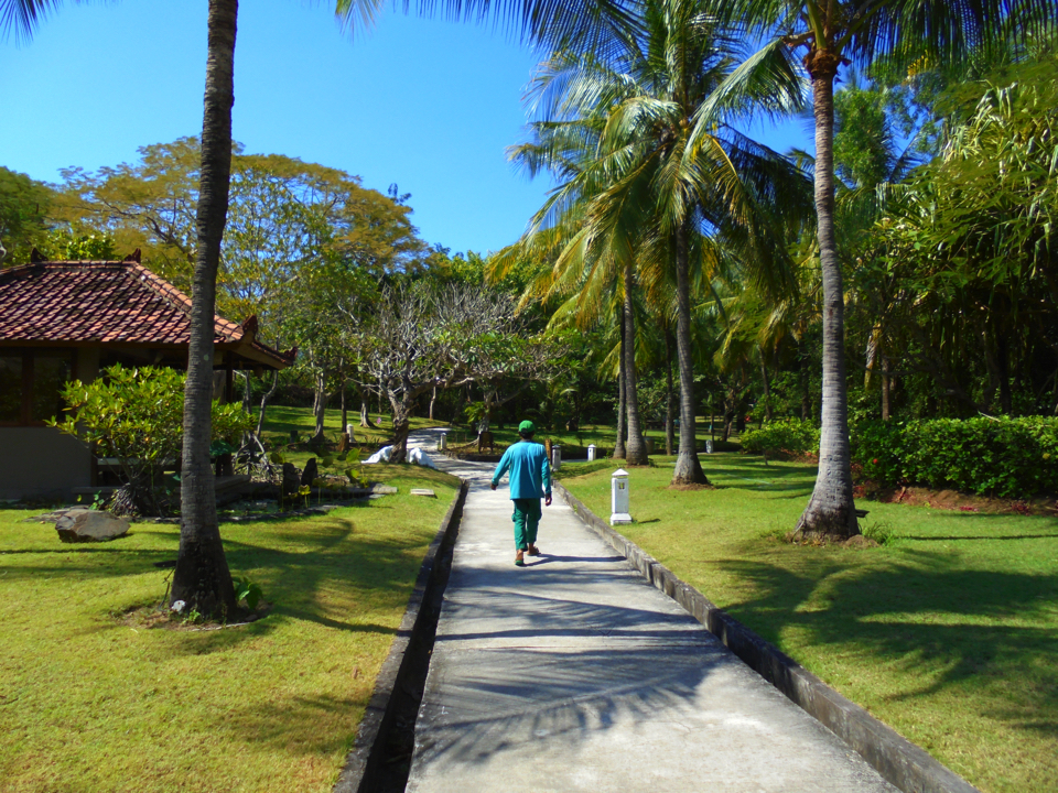 IMG_0627.jpg (1) copy