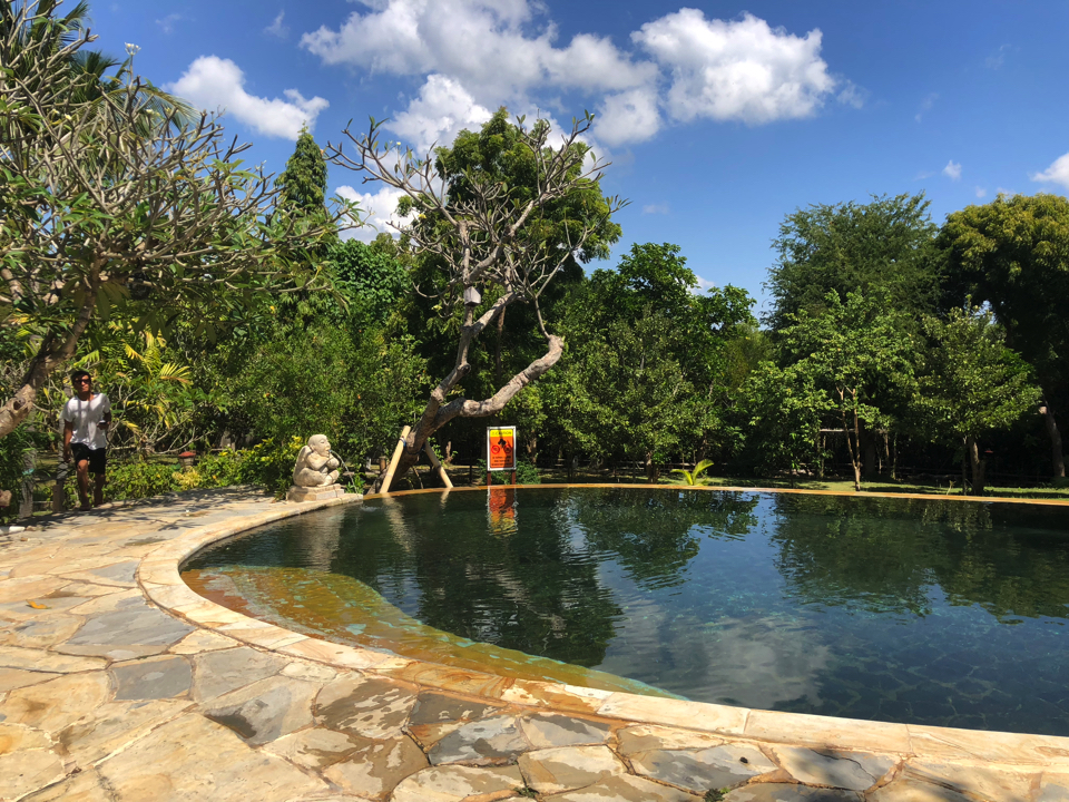 IMG_0627.jpg (10) copy copy