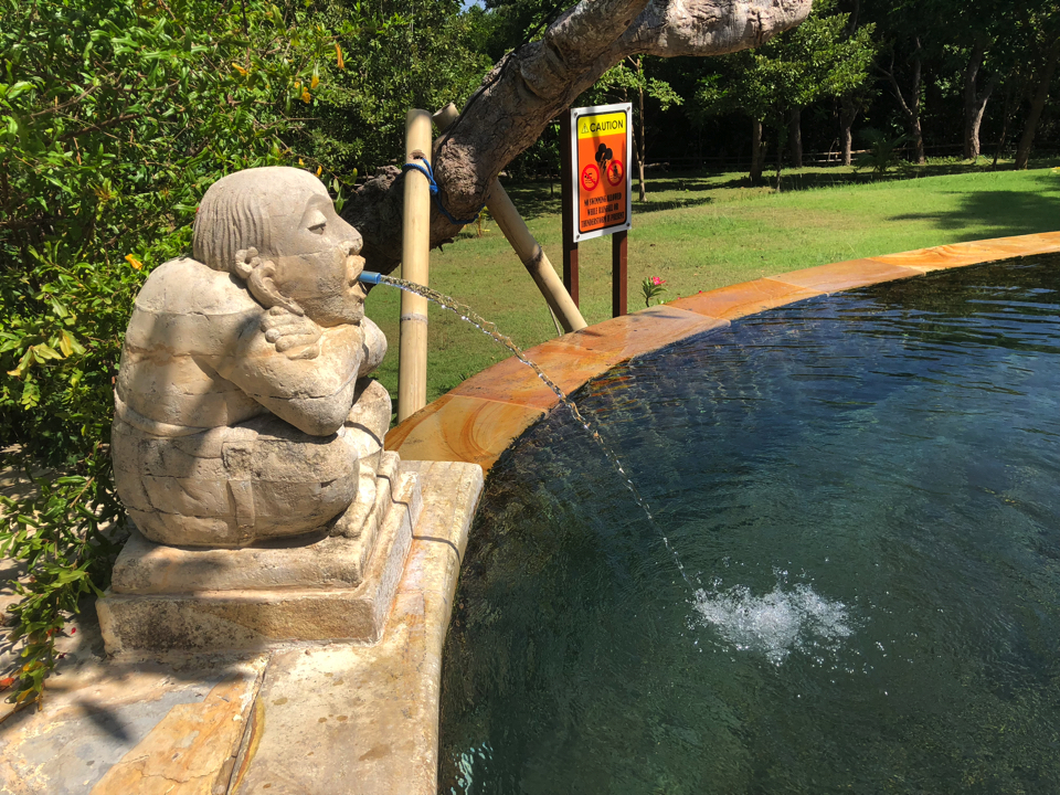 IMG_0627.jpg (12) copy copy