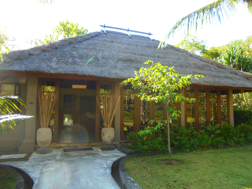 IMG_0627.jpg (21) copy