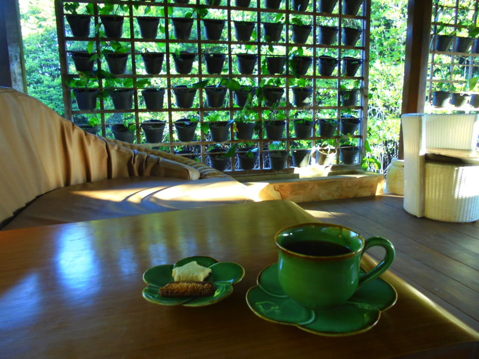 IMG_0627.jpg (29) copy