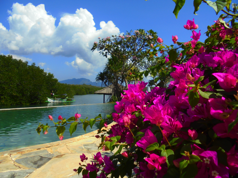 IMG_0627.jpg (30) copy