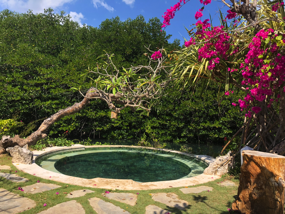 IMG_0627.jpg (9) copy copy