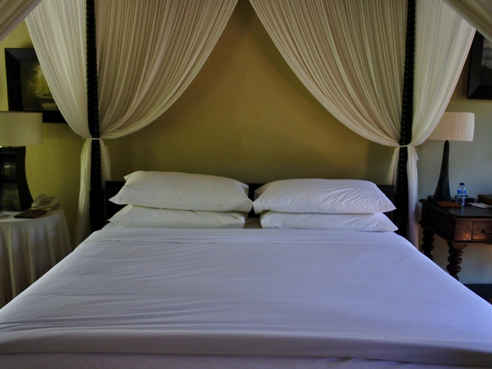 IMG_0628.jpg (25) copy