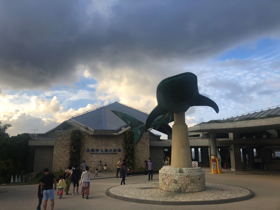 IMG_1202 (2) copy copy